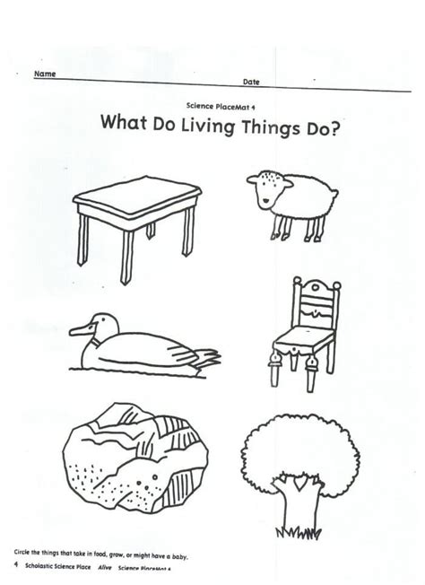 living things examples drawing|Drawing Living Things Worksheet .